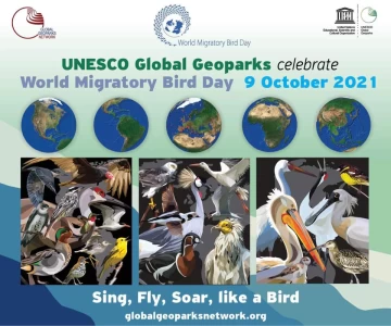 International Migratory Bird Day