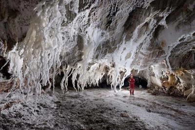 The name Qeshm Island shines brightly among tourist attractions around the world.