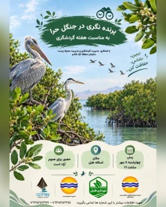 پرنده نگری در جنگل حرا به مناسبت هفته گردشگری