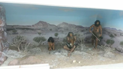 Organizing Qeshm Geo-park Museum